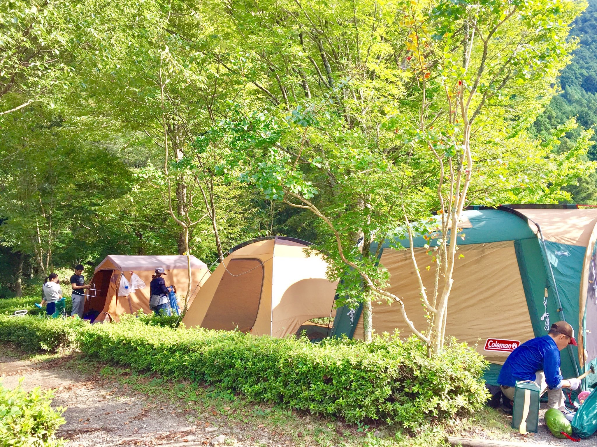 テントキャンプサイト